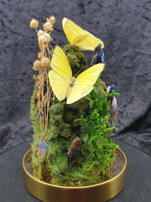 The Rise of Moss Art