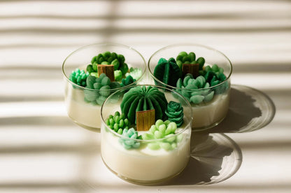 Succulent Botanical Illusion Candle | Public Workshop