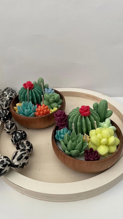 Succulent Botanical Illusion Candle | Public Workshop