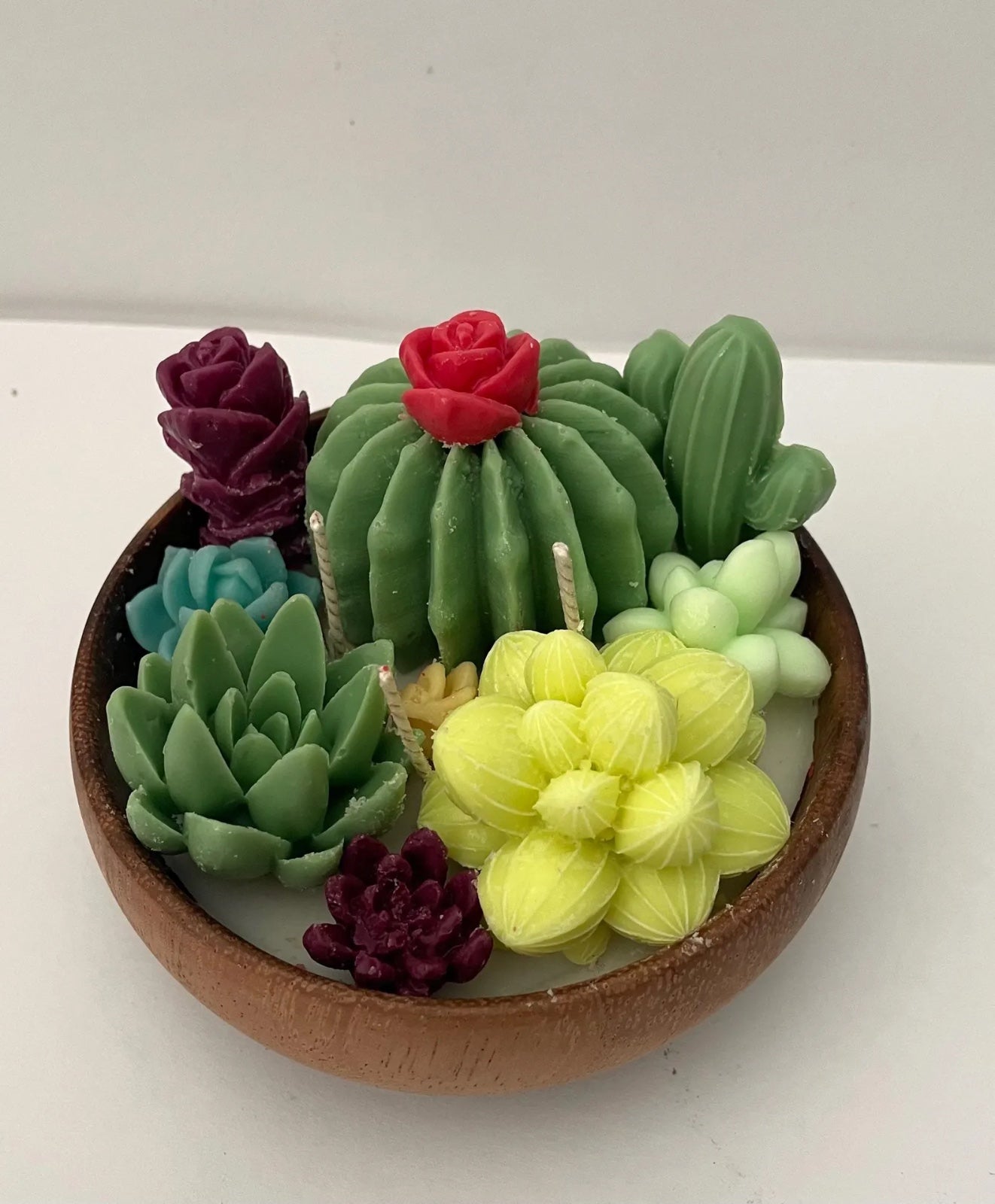 candle plant succulent flower Succulent Botanical Illusion Candle