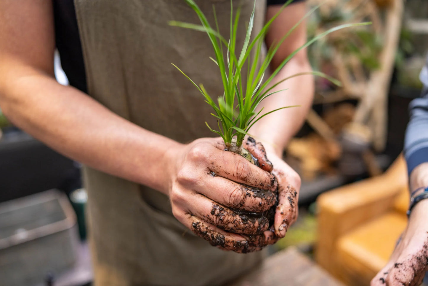 Atelier de fabrication de boules de mousse KOKEDAMA 