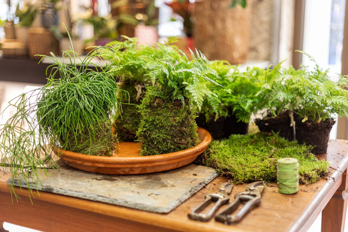 Atelier de fabrication de boules de mousse KOKEDAMA 