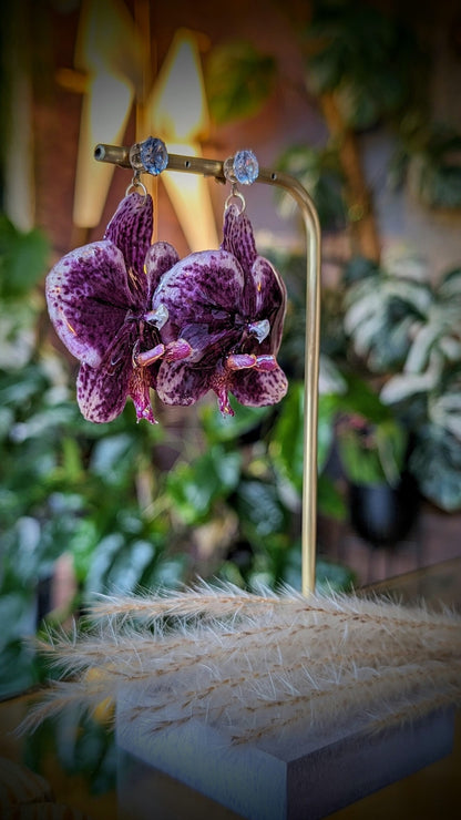 Classe de boucle d'oreille florale d'orchidée bricolage en résine