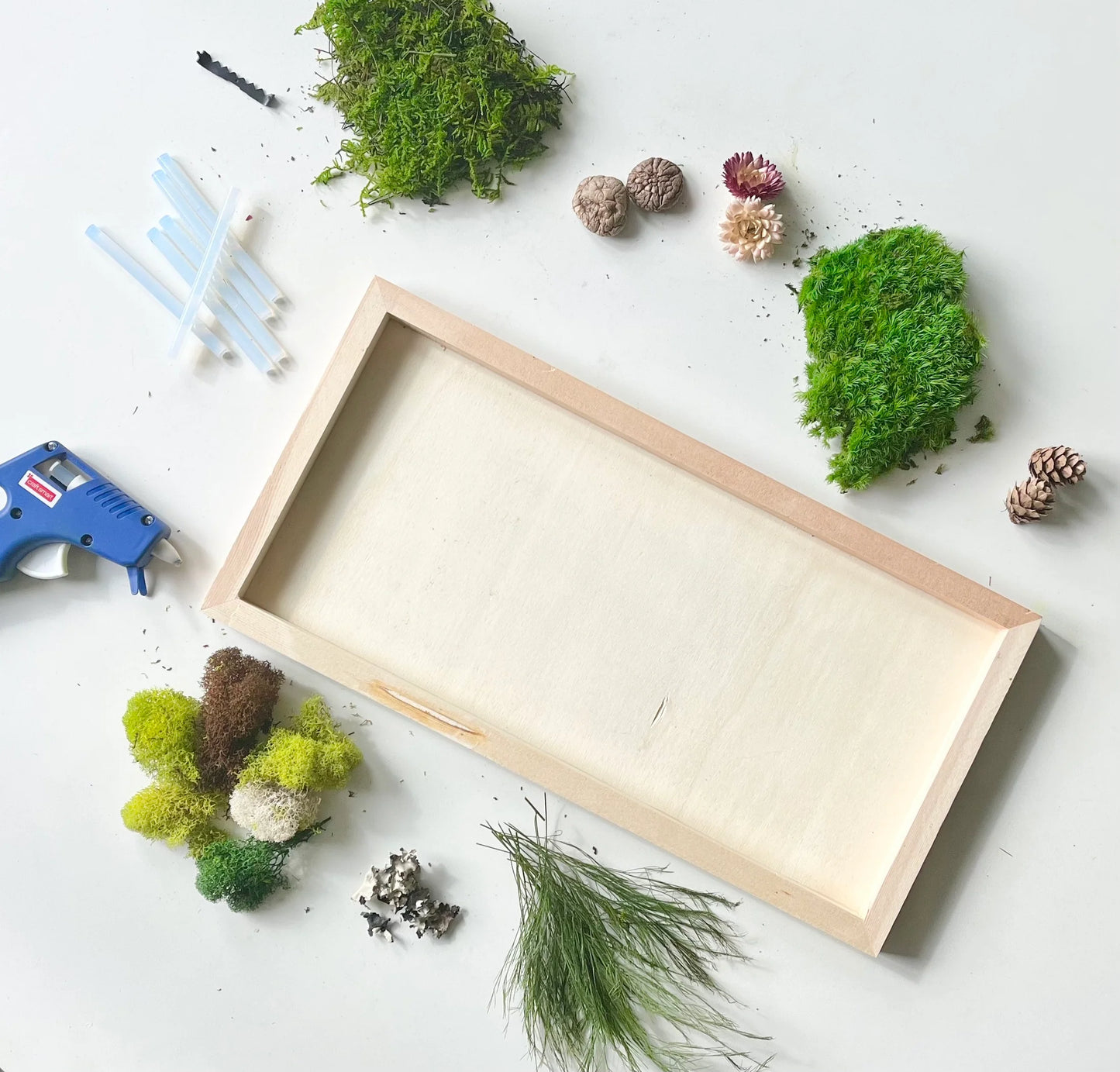 Moss Frame/ Bell Jar Making Workshop | Private